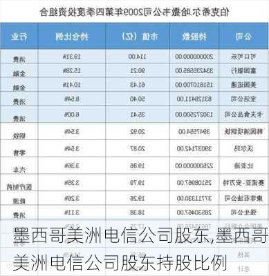 墨西哥美洲电信公司股东,墨西哥美洲电信公司股东持股比例