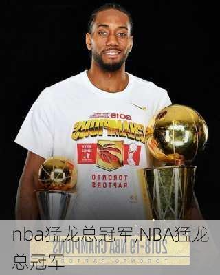 nba猛龙总冠军,NBA猛龙总冠军