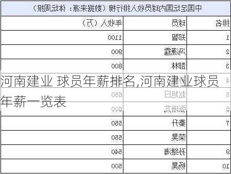 河南建业 球员年薪排名,河南建业球员年薪一览表