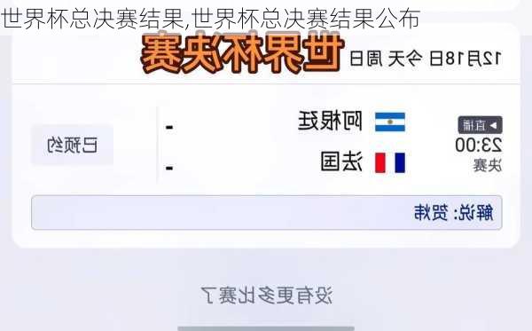 世界杯总决赛结果,世界杯总决赛结果公布
