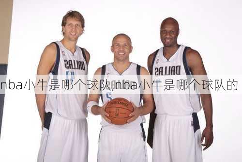 nba小牛是哪个球队,nba小牛是哪个球队的