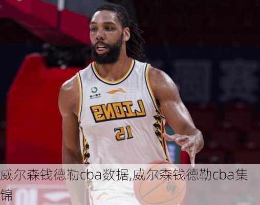 威尔森钱德勒cba数据,威尔森钱德勒cba集锦