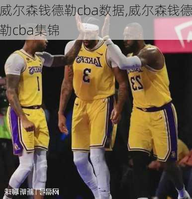 威尔森钱德勒cba数据,威尔森钱德勒cba集锦