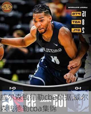 威尔森钱德勒cba数据,威尔森钱德勒cba集锦