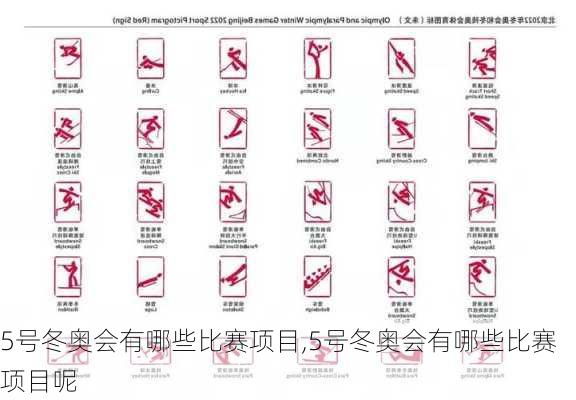 5号冬奥会有哪些比赛项目,5号冬奥会有哪些比赛项目呢