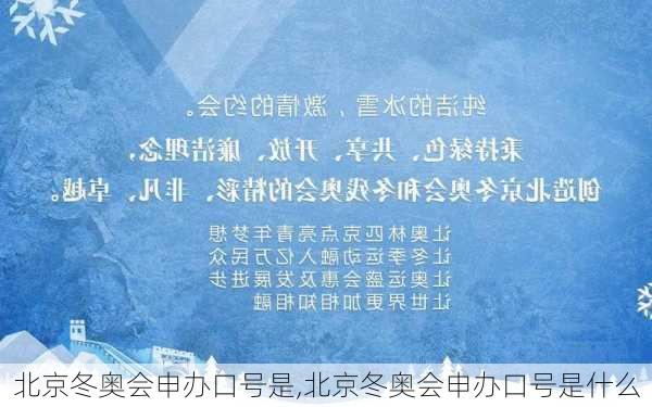 北京冬奥会申办口号是,北京冬奥会申办口号是什么