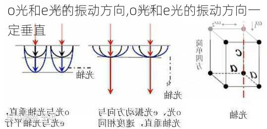 o光和e光的振动方向,o光和e光的振动方向一定垂直