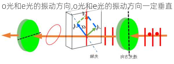 o光和e光的振动方向,o光和e光的振动方向一定垂直