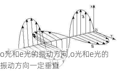 o光和e光的振动方向,o光和e光的振动方向一定垂直