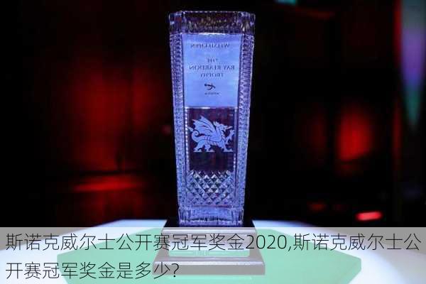 斯诺克威尔士公开赛冠军奖金2020,斯诺克威尔士公开赛冠军奖金是多少?