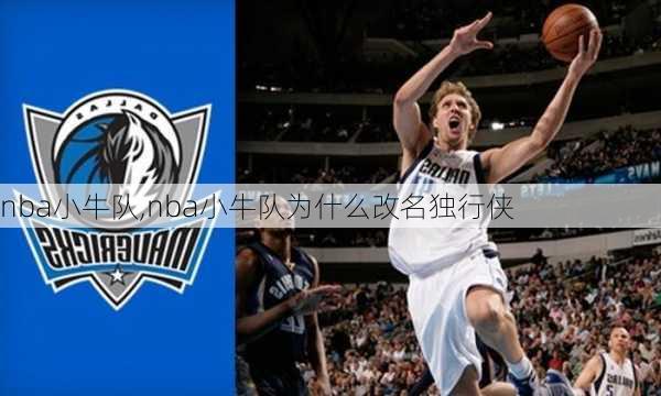 nba小牛队,nba小牛队为什么改名独行侠