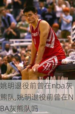 姚明退役前曾在nba灰熊队,姚明退役前曾在NBA灰熊队吗