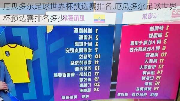 厄瓜多尔足球世界杯预选赛排名,厄瓜多尔足球世界杯预选赛排名多少