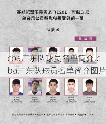 cba广东队球员名单简介,cba广东队球员名单简介图片