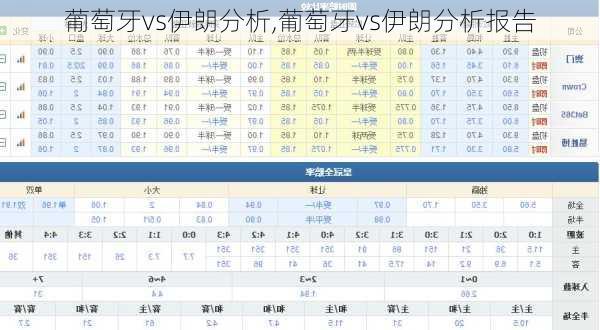 葡萄牙vs伊朗分析,葡萄牙vs伊朗分析报告