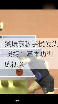 樊振东教学慢镜头,樊振东基本功训练视频