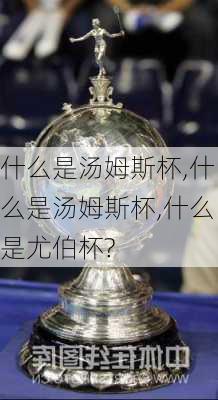 什么是汤姆斯杯,什么是汤姆斯杯,什么是尤伯杯?