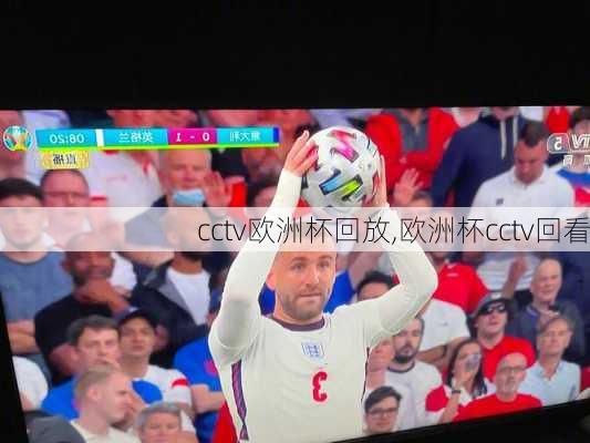 cctv欧洲杯回放,欧洲杯cctv回看