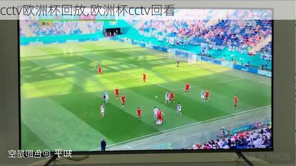 cctv欧洲杯回放,欧洲杯cctv回看