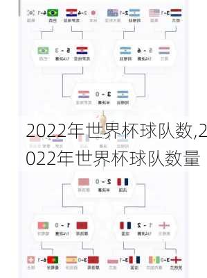 2022年世界杯球队数,2022年世界杯球队数量