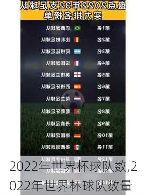 2022年世界杯球队数,2022年世界杯球队数量