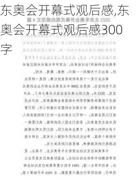 东奥会开幕式观后感,东奥会开幕式观后感300字