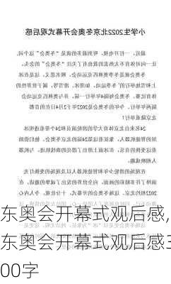 东奥会开幕式观后感,东奥会开幕式观后感300字