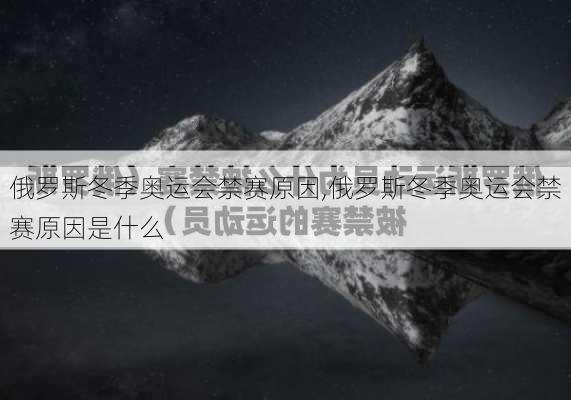 俄罗斯冬季奥运会禁赛原因,俄罗斯冬季奥运会禁赛原因是什么