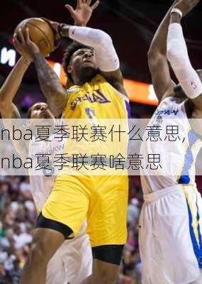 nba夏季联赛什么意思,nba夏季联赛啥意思