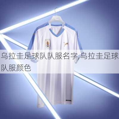 乌拉圭足球队队服名字,乌拉圭足球队服颜色