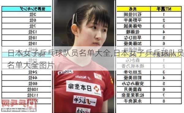 日本女子乒乓球队员名单大全,日本女子乒乓球队员名单大全图片