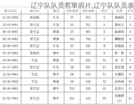 辽宁队队员名单照片,辽宁队队员表