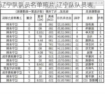 辽宁队队员名单照片,辽宁队队员表