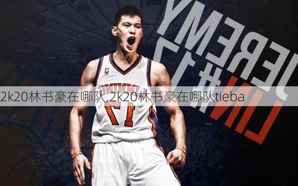 2k20林书豪在哪队,2k20林书豪在哪队tieba