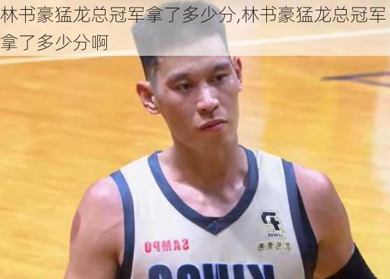 林书豪猛龙总冠军拿了多少分,林书豪猛龙总冠军拿了多少分啊