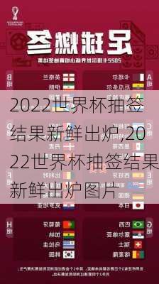 2022世界杯抽签结果新鲜出炉,2022世界杯抽签结果新鲜出炉图片