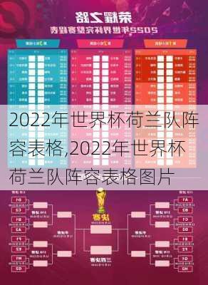 2022年世界杯荷兰队阵容表格,2022年世界杯荷兰队阵容表格图片