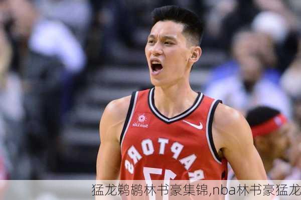 猛龙鹈鹕林书豪集锦,nba林书豪猛龙