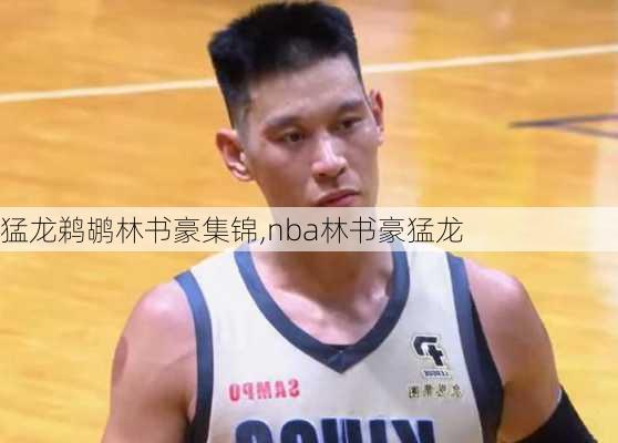 猛龙鹈鹕林书豪集锦,nba林书豪猛龙