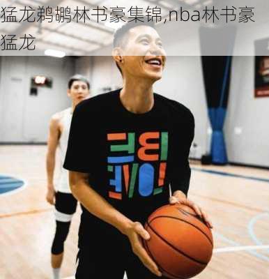 猛龙鹈鹕林书豪集锦,nba林书豪猛龙