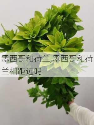 墨西哥和荷兰,墨西哥和荷兰相距远吗