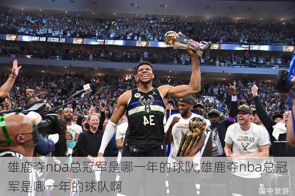 雄鹿夺nba总冠军是哪一年的球队,雄鹿夺nba总冠军是哪一年的球队啊