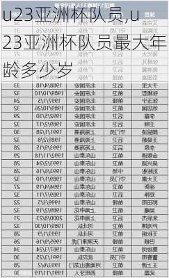 u23亚洲杯队员,u23亚洲杯队员最大年龄多少岁