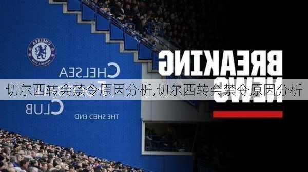 切尔西转会禁令原因分析,切尔西转会禁令原因分析