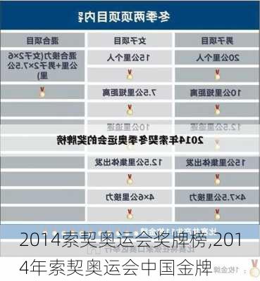 2014索契奥运会奖牌榜,2014年索契奥运会中国金牌