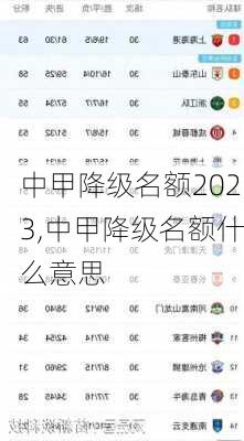 中甲降级名额2023,中甲降级名额什么意思