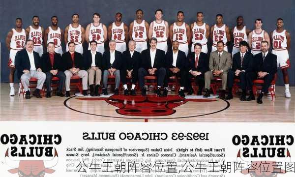 公牛王朝阵容位置,公牛王朝阵容位置图