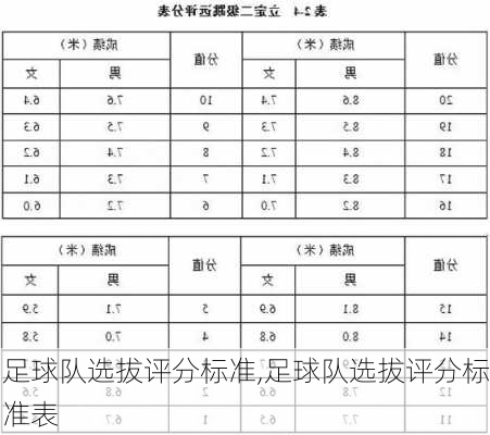 足球队选拔评分标准,足球队选拔评分标准表