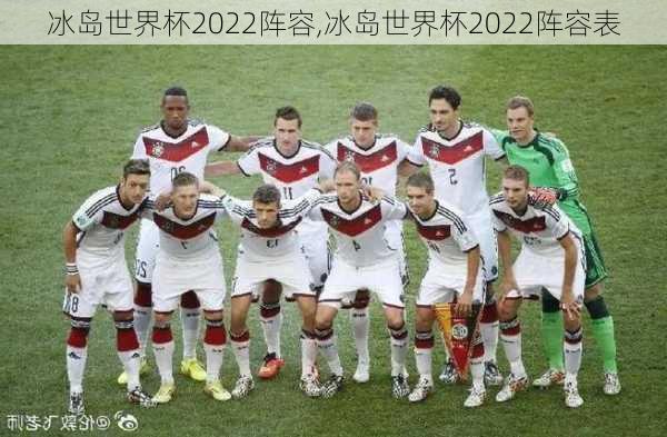 冰岛世界杯2022阵容,冰岛世界杯2022阵容表