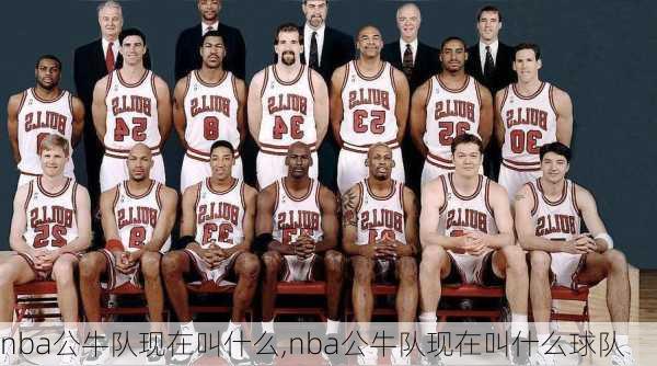 nba公牛队现在叫什么,nba公牛队现在叫什么球队